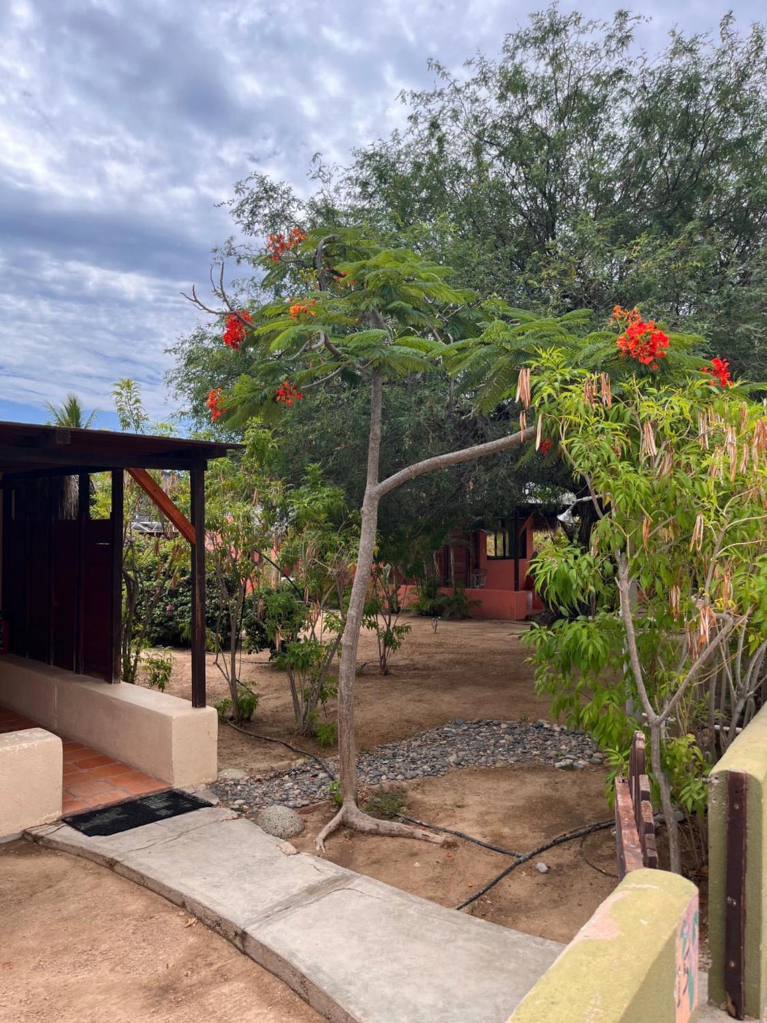 Cabo Pulmo Beach Resort エクステリア 写真
